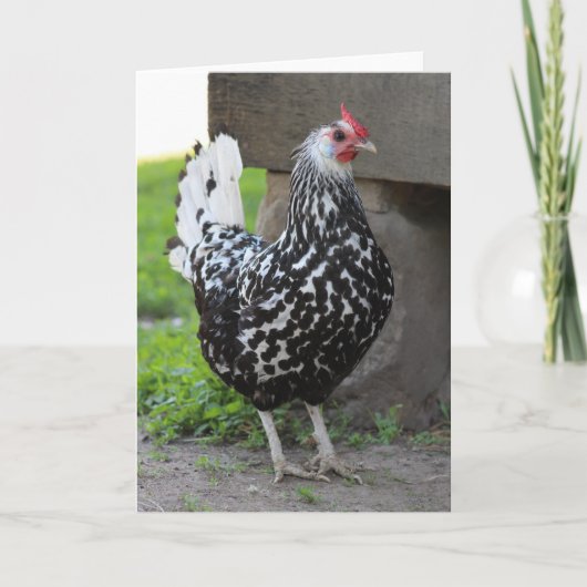Rooster-Grußkarte Karte (Vorderseite)