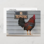 Rooster Guard a Key West Porch Poster Postkarte (Vorne/Hinten)