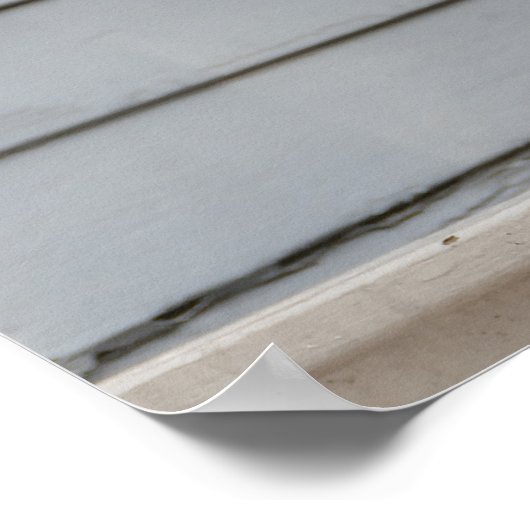 Rooster Guarding a Key West Portsch Poster (Ecke)