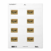 Rooster Hen Lay Ostereier (Vorne)