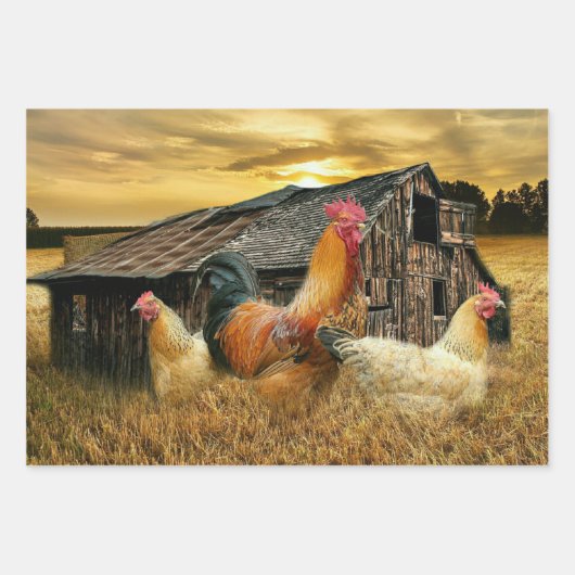 Rooster Hens Rustic Barcoop Geschenkpapier Set (Vorderseite 3)