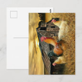 Rooster Hens Rustic Barcoop Postkarte (Vorne/Hinten)