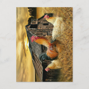 Rooster Hens Rustic Barcoop Postkarte
