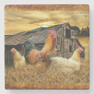 Rooster Hens Rustic Barcoop Steinuntersetzer