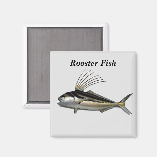 Rooster-Hintergrund Magnet (Vorderseite/Rückseite)