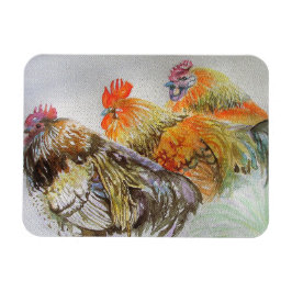 Rooster Hühner Hühner Magnet