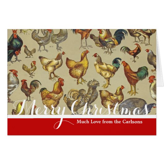 Rooster-Hühnerfarm Landtier (Vorderseite (Horizontal))