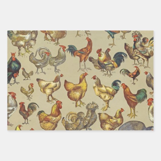 Rooster-Hühnerfarm Landtier Geschenkpapier Set (Vorderseite)