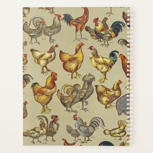 Rooster-Hühnerfarm Landtier Planer (Rückseite)