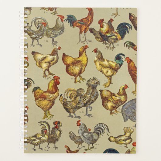 Rooster-Hühnerfarm Landtier Planer (Vorderseite)