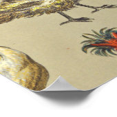 Rooster-Hühnerfarm Landtier Poster (Ecke)