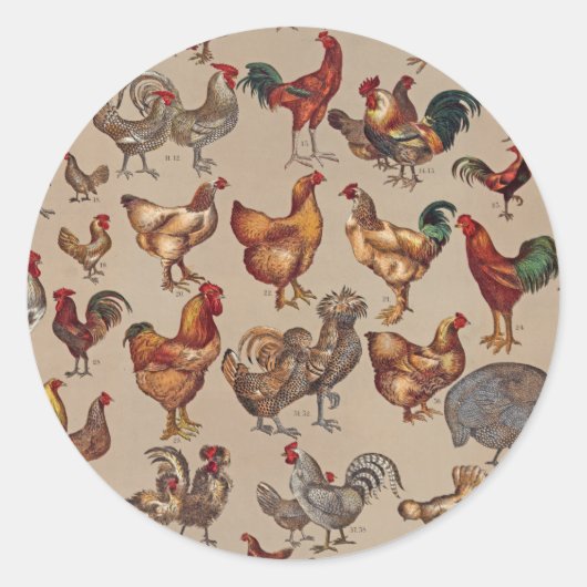 Rooster-Hühnerfarm Landtier Runder Aufkleber (Vorderseite)