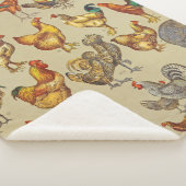 Rooster-Hühnerfarm Landtier Sherpadecke (3/4)