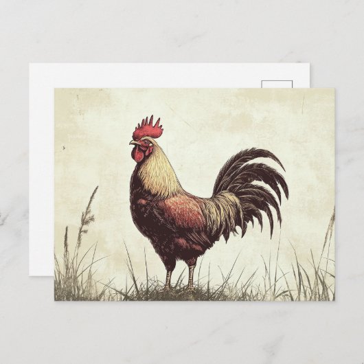 Rooster Illustration Vintag Tone Postkarte (Vorne/Hinten)