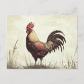 Rooster Illustration Vintag Tone Postkarte (Vorderseite)