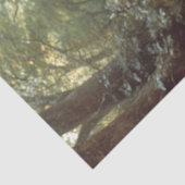 Rooster im Dschungel Landschaftsbild Seidenpapier (Detail)