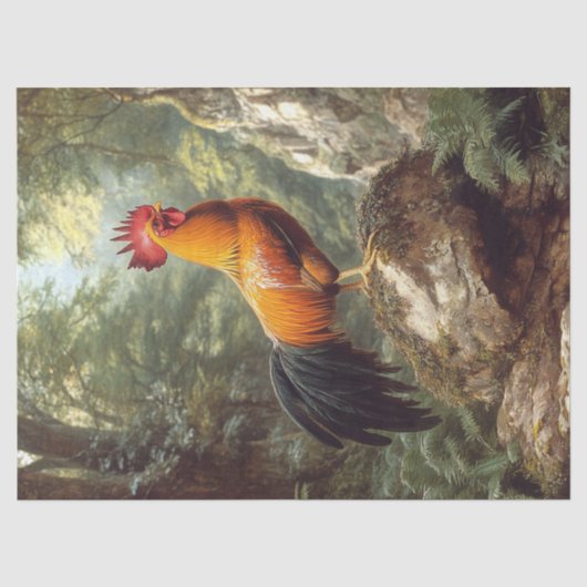 Rooster im Dschungel Landschaftsbild Seidenpapier (Vorderseite)
