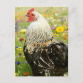 Rooster in a Flower Meadow Postkarte (Vorderseite)