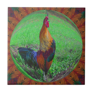 Rooster in Bubble Nature Abstrakt Art Tile Fliese
