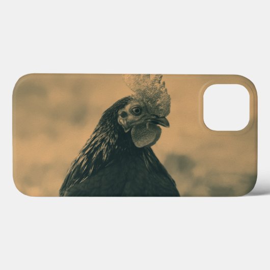 Rooster in Sepia Case-Mate iPhone Hülle (Rückseite (Horizontal))