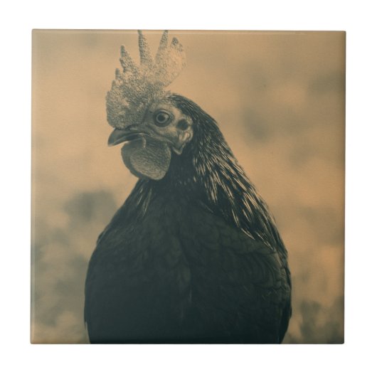 Rooster in Sepia Fliese (Vorderseite)