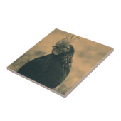 Rooster in Sepia Fliese (Seite)