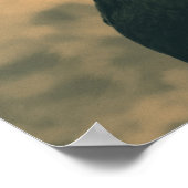 Rooster in Sepia Poster (Ecke)