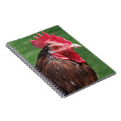 Rooster Journal Notizblock (Rechte Seite)