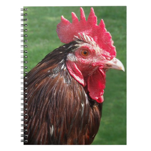 Rooster Journal Notizblock (Vorderseite)