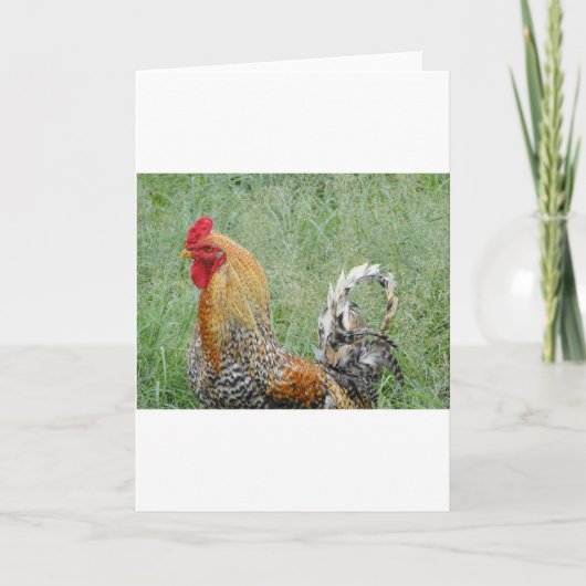 Rooster Karte (Vorderseite)