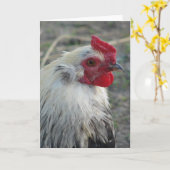 Rooster Karte (Gelbe Blume)