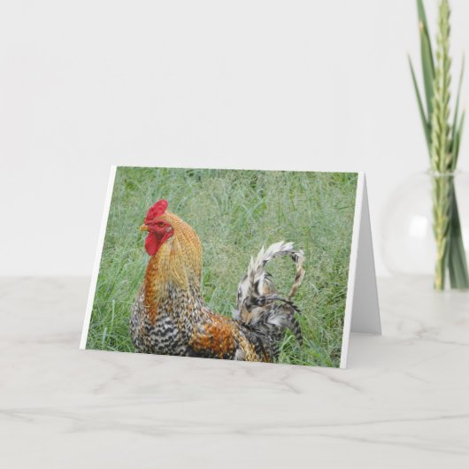Rooster Karte (Vorderseite)