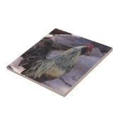Rooster-Keramik Fliese (Seite)