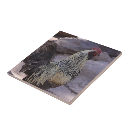 Rooster-Keramik Fliese (Seite)