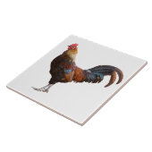 Rooster Kitchen Decke hinzufügen Farbtext Hintergr Fliese (Seite)