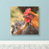 Rooster Leinwanddruck (Insitu (Holzboden))