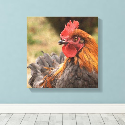 Rooster Leinwanddruck (Insitu (Holzboden))