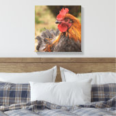 Rooster Leinwanddruck (Insitu (Schlafzimmer))