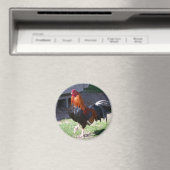 Rooster Magnet (In Situ (Geschirrspüler))