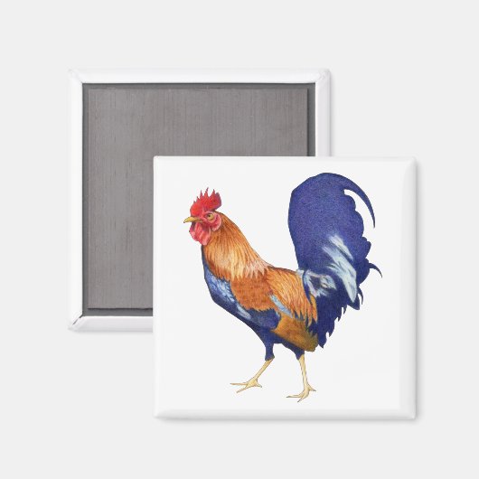 Rooster Magnet (Vorderseite/Rückseite)