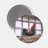 ROOSTER MAGNET (Vorderseite/Rückseite)