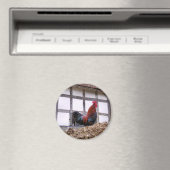 ROOSTER MAGNET (In Situ (Geschirrspüler))