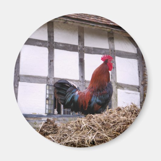 ROOSTER MAGNET (Vorne)