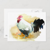 Rooster mit der Einstellung Postkarte (Vorne/Hinten)