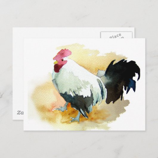 Rooster mit der Einstellung Postkarte (Vorne/Hinten)