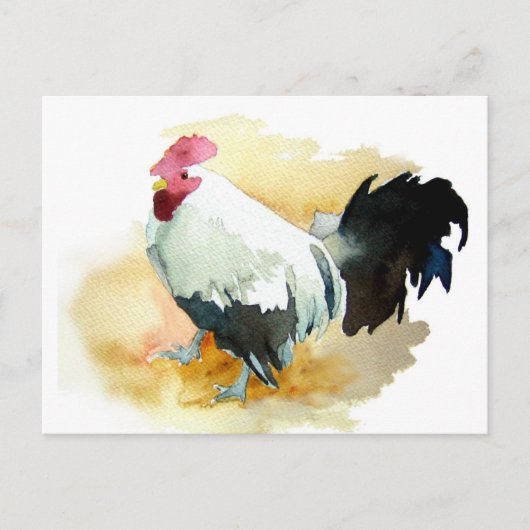 Rooster mit der Einstellung Postkarte (Vorderseite)