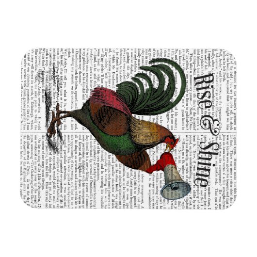Rooster mit Loudhailer 2 Magnet (Horizontal)