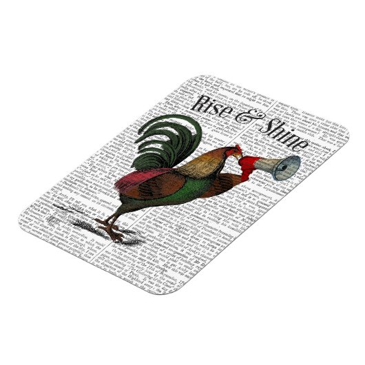Rooster mit Loudhailer 2 Magnet (Linke Seite)