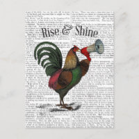 Rooster mit Loudhailer 2
