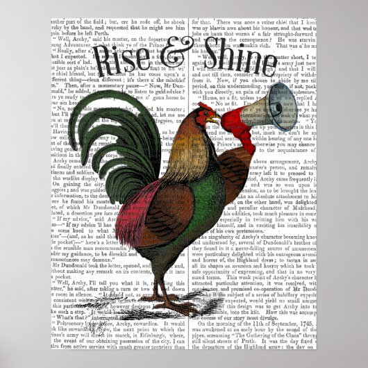 Rooster mit Loudhailer Poster (Vorne)